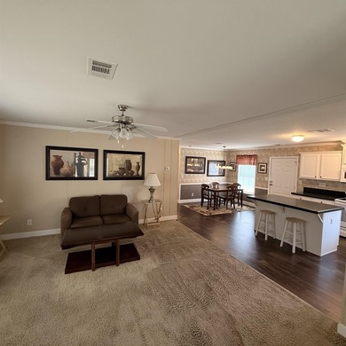 Welcome to Paradise! This beautiful 2013 Destiny home is in - photo 14