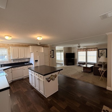 Welcome to Paradise! This beautiful 2013 Destiny home is in - photo 16