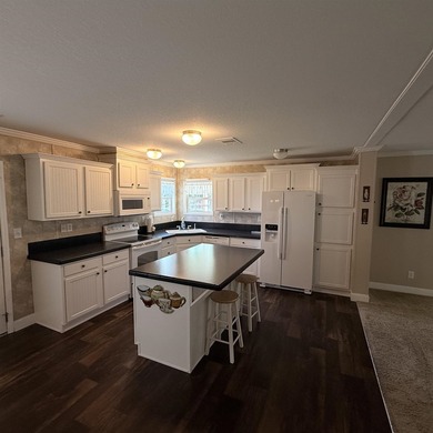 Welcome to Paradise! This beautiful 2013 Destiny home is in - photo 17