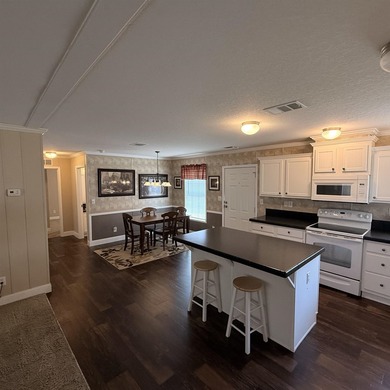 Welcome to Paradise! This beautiful 2013 Destiny home is in - photo 19