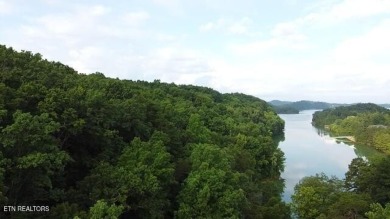 Lake Acreage For Sale in Dandridge, Tennessee
