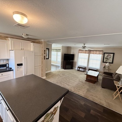 Welcome to Paradise! This beautiful 2013 Destiny home is in - photo 23