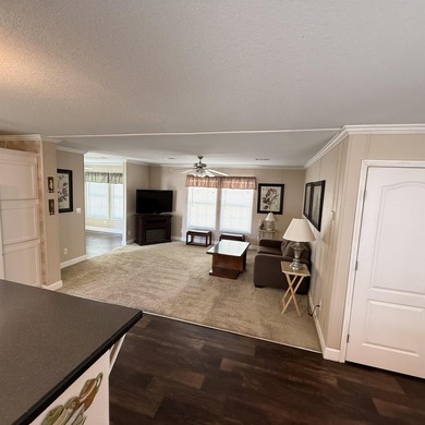Welcome to Paradise! This beautiful 2013 Destiny home is in - photo 24