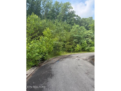 Douglas Lake Acreage For Sale in Dandridge Tennessee