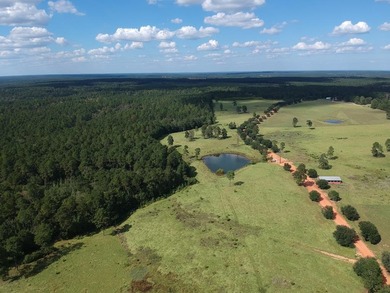 (private lake, pond, creek) Acreage For Sale in Hillister Texas