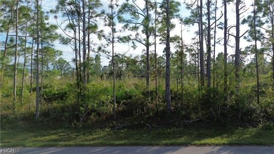 Port Charlotte Waterway Area Lot For Sale in Port Charlotte Florida