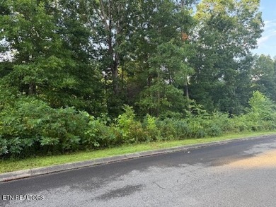 Douglas Lake Lot For Sale in Dandridge Tennessee