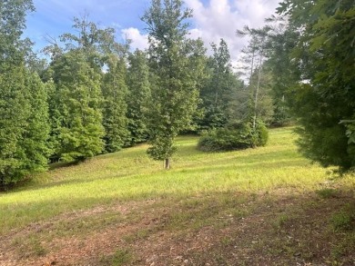 Lake Nottely Lot For Sale in Blairsville Georgia