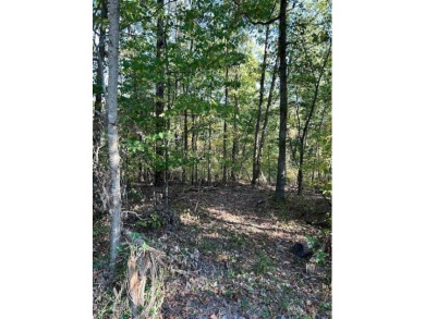 Lake Lot For Sale in Bella Vista, Arkansas