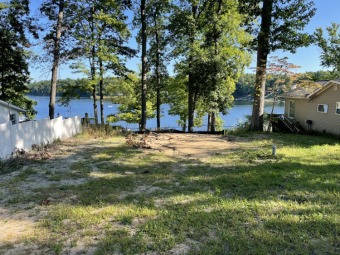 Big Pine Island Lake Lot For Sale in Belding Michigan