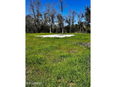 Prime Bay St. Louis Lot - Cleared & Ready to Build! Imagine - photo 1