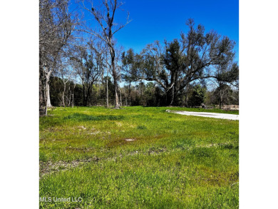 Prime Bay St. Louis Lot - Cleared & Ready to Build! Imagine - photo 2