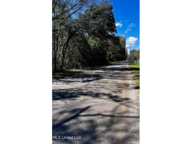 Prime Bay St. Louis Lot - Cleared & Ready to Build! Imagine - photo 3