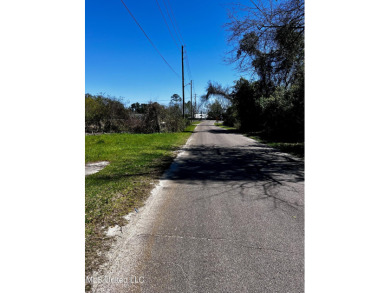 Prime Bay St. Louis Lot - Cleared & Ready to Build! Imagine - photo 4