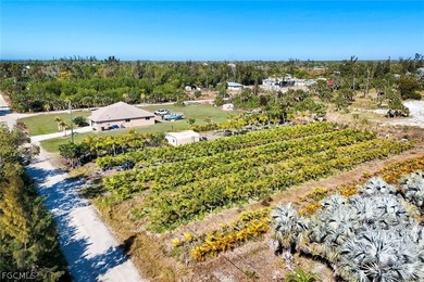 Agricultural-zoned vacant lot in St. James City with residential - photo 1