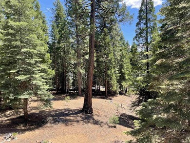 Welcome to this charming Lake Almanor West home, offering three - photo 21