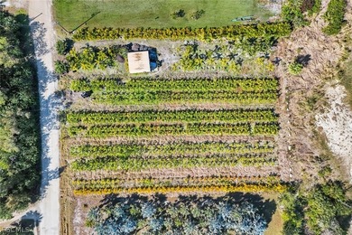 Agricultural-zoned vacant lot in St. James City with residential - photo 4