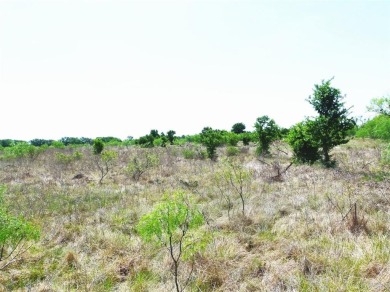 Lake Acreage For Sale in Brownwood, Texas