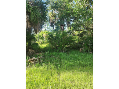 Port Charlotte Waterway Area Lot For Sale in Port Charlotte Florida