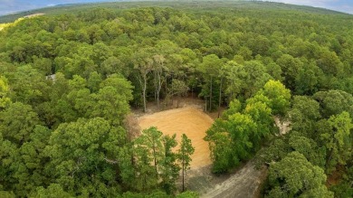 Lake Sam Rayburn  Lot For Sale in Brookeland Texas