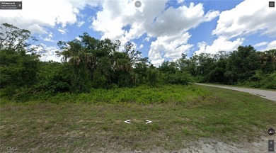 Lehigh Acres Area Lot For Sale in Lehigh Acres Florida