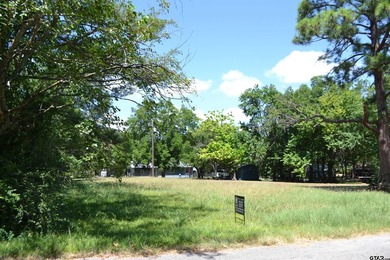 Welcome to Lot 331 Clower Court in the peaceful Whispering Oaks - photo 7