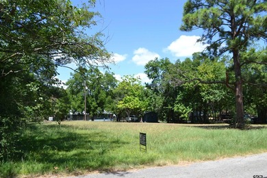 Welcome to Lot 331 Clower Court in the peaceful Whispering Oaks - photo 8