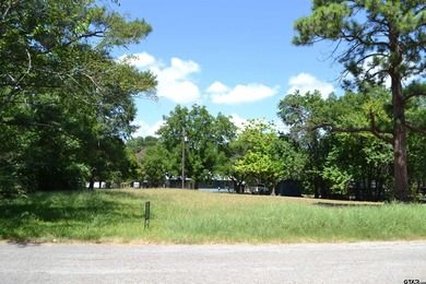 Welcome to Lot 331 Clower Court in the peaceful Whispering Oaks - photo 9