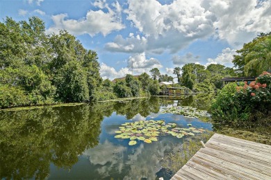 Lake Home Sale Pending in Belleview, Florida