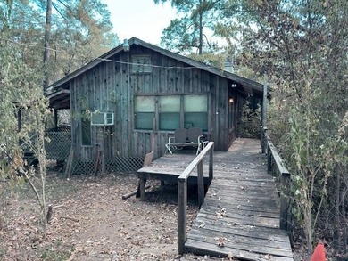 B A Steinhagen Lake Home For Sale in Woodville Texas