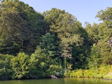 Welcome to the Lake Life on Lake Lure! Lake Lure is working hard - photo 5