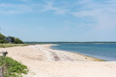 Your turnkey Hamptons home complete with updates and luxurious - photo 31
