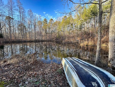 Lake Home For Sale in Talladega, Alabama