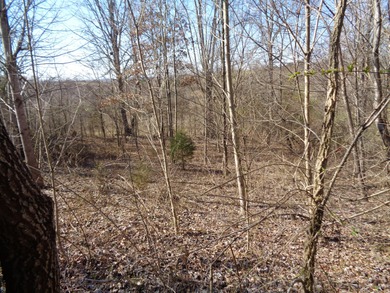 Holston River - Grainger County  Lot For Sale in Rutledge Tennessee
