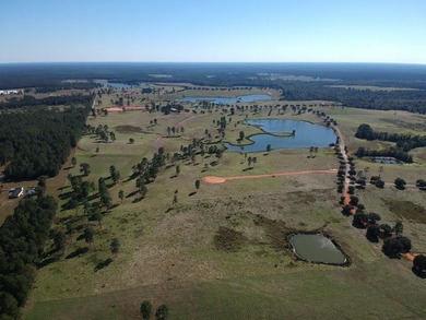 (private lake, pond, creek) Acreage For Sale in Hillister Texas
