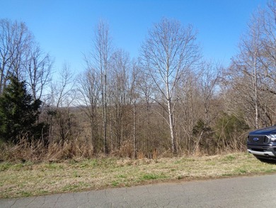 LOOKING FOR A LOT WITH THAT COUNTRY FEEL BUT STILL IN A NICE - photo 2