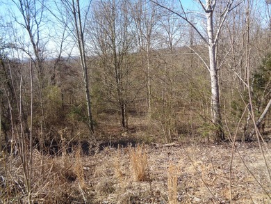 LOOKING FOR A LOT WITH THAT COUNTRY FEEL BUT STILL IN A NICE - photo 3