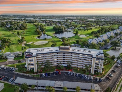 (private lake, pond, creek) Condo For Sale in Seminole Florida