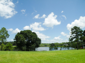 Lake Lot Sale Pending in Lucedale, Mississippi
