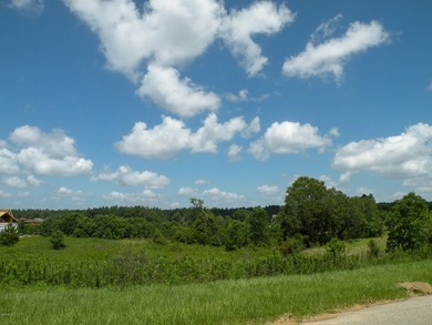 Great new home site on the lake - photo 7