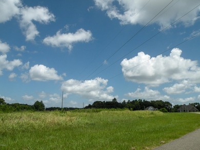 Great new home site on the lake - photo 8