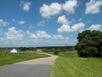 Great new home site on the lake - photo 2