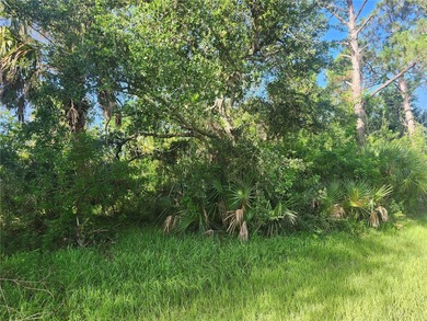 Port Charlotte Waterway Area Lot For Sale in Port Charlotte Florida