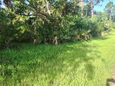 Build your dream home on this .23-acre vacant residential lot - photo 3