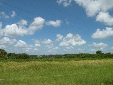 Great new home site on the lake. 1.40 - photo 9