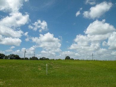 Great new home site with beautiful lake - photo 5