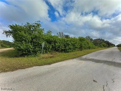 Lehigh Acres Area Lot For Sale in Lehigh Acres Florida