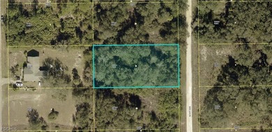 Lehigh Acres Area Lot For Sale in Lehigh Acres Florida