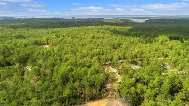 Lake Sam Rayburn  Lot For Sale in Brookeland Texas
