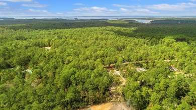 Lake Sam Rayburn  Lot For Sale in Brookeland Texas